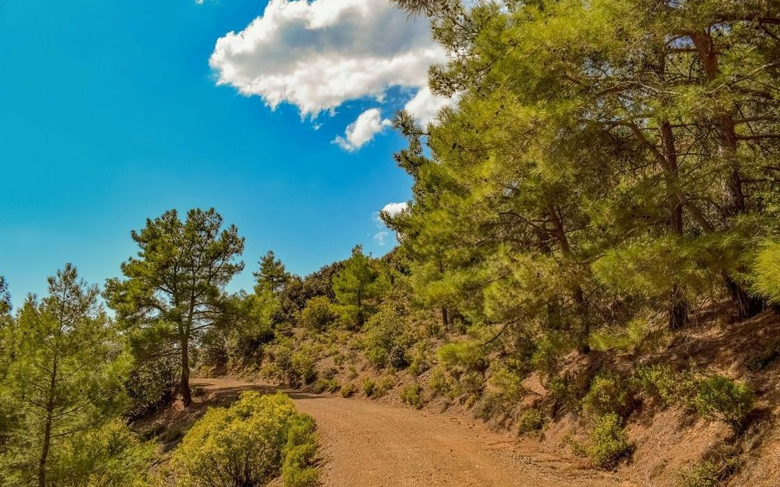 Güneşli bir köşede çiftliğin ön cephesi